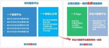 耕者為農，云為鋤——神州信息農業云的信息技術咨詢服務